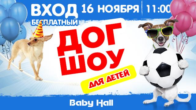 Впервые в Baby Hall: DOG - шоу